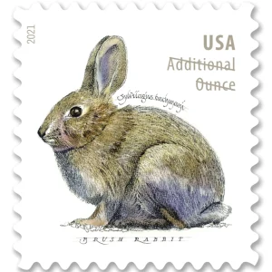 NOT Forever Stamp-Additional Ounce Forever Stamps 2021 Brush Rabbit – Nature Series, Postage